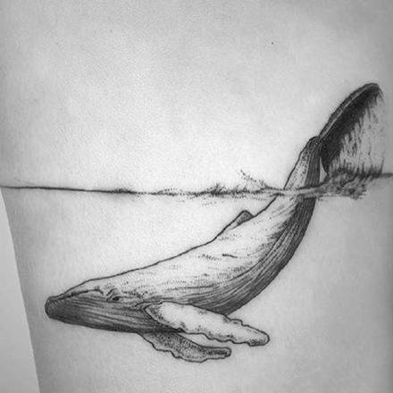 好看的一组小清新鲸鱼和海豚纹身图案