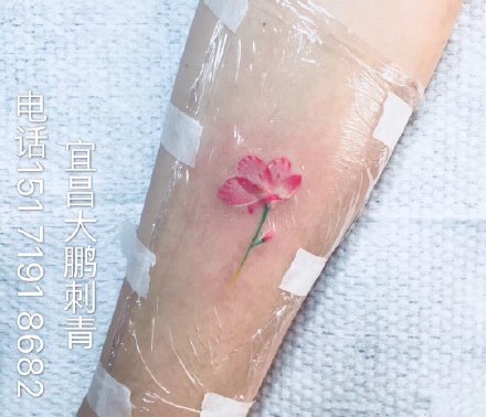 宜昌纹身 江西宜昌大鹏刺青的几款店内作品