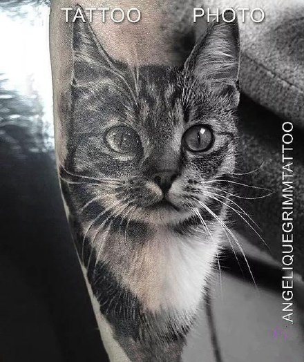 铲屎官专属的一组9款猫纹身图案