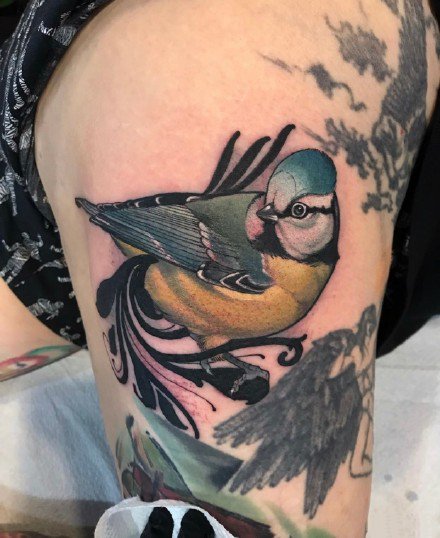 雀纹身 一组麻雀等雀主题的纹身作品图案