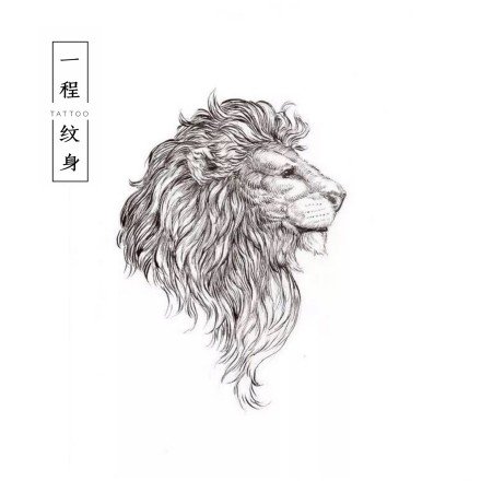 狮子手稿 30款狮子座狮头主题的纹身手稿图片(23/30)