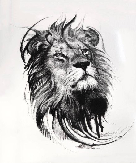 狮子手稿 30款狮子座狮头主题的纹身手稿图片(7/30)