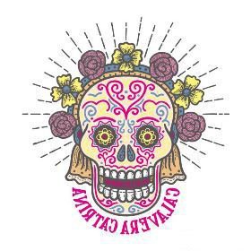 27款小清新的彩色花骷髅纹身手稿素材(26/27)