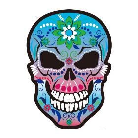 27款小清新的彩色花骷髅纹身手稿素材(7/27)