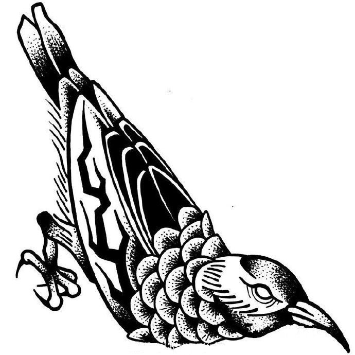 43款创意的国外黑白纹身手稿素材(31/43)