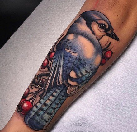 彩色newschool的一组漂亮包臂动物纹身图案