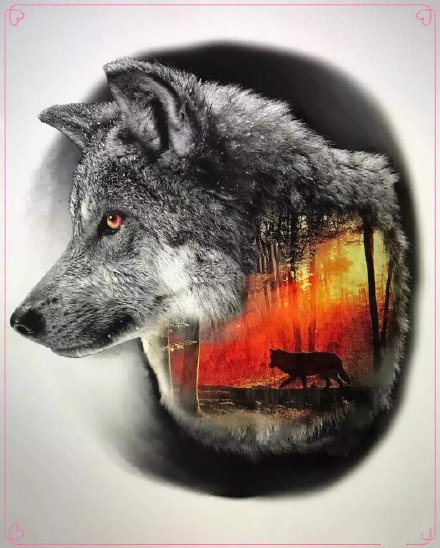 狼头刺青 9款狼头主题的纹身手稿和作品赏析