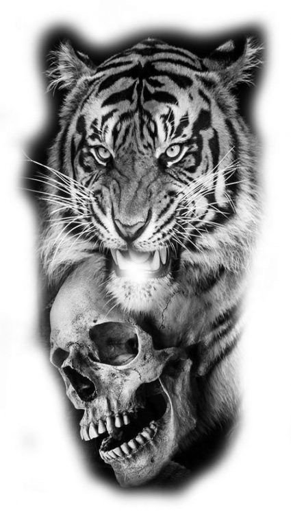 34款各风格的老虎虎头纹身手稿素材图片(21/34)