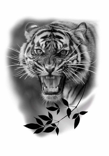 34款各风格的老虎虎头纹身手稿素材图片(19/34)