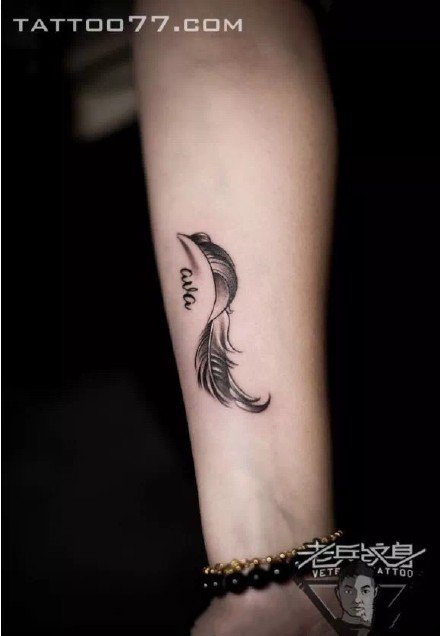 黑灰色的9款羽毛纹身图案-武汉老兵纹身作品