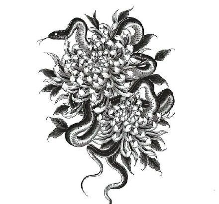 33款创意的插画黑图纹身手稿图片(26/33)