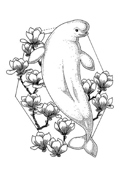 33款创意的插画黑图纹身手稿图片(22/33)