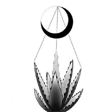 33款创意的插画黑图纹身手稿图片(10/33)