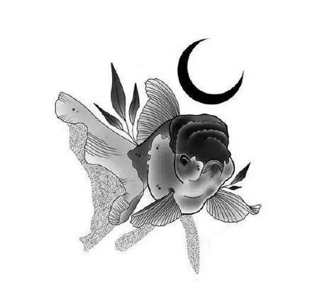 33款创意的插画黑图纹身手稿图片(9/33)