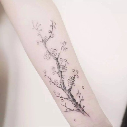 梅花刺青 小清新的9款梅花主题纹身图片