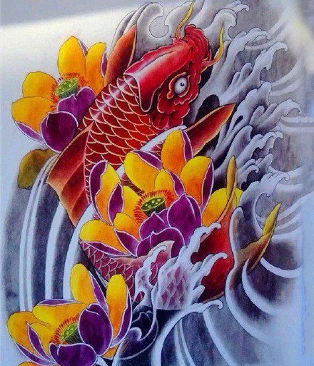 35款鲤鱼主题的纹身手稿图片素材赏析(34/35)