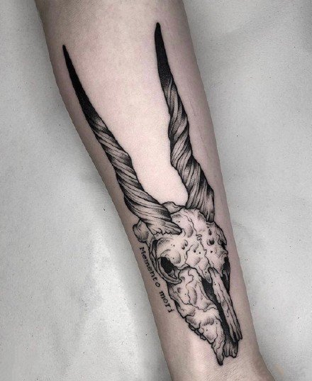 动物头骨骼主题的一组纹身图片赏析