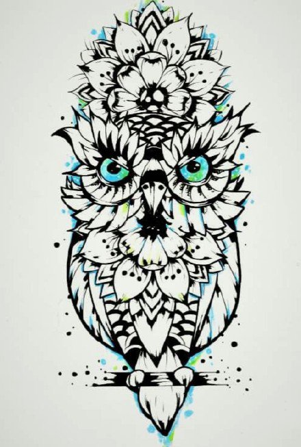 35款猫头鹰主题的纹身手稿图片(32/34)