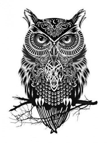 35款猫头鹰主题的纹身手稿图片(6/34)