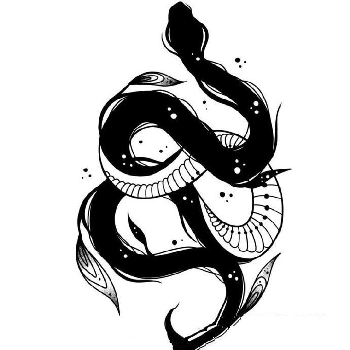 36款各风格蛇主题纹身手稿图片(28/36)