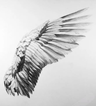 35款单双翅膀的纹身手稿图片(27/35)