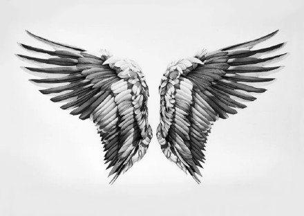35款单双翅膀的纹身手稿图片(25/35)