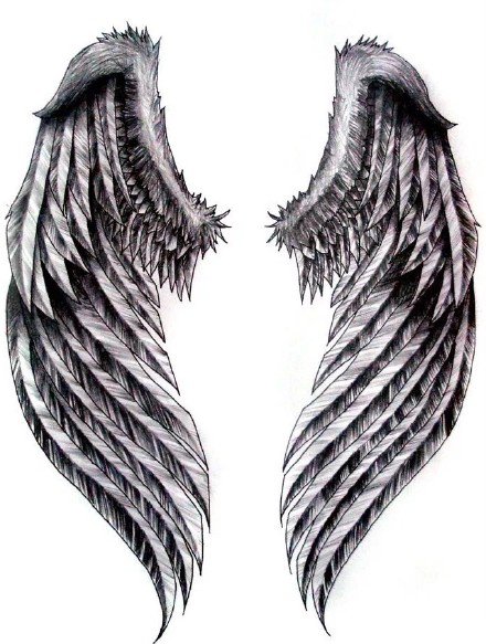 35款单双翅膀的纹身手稿图片(6/35)