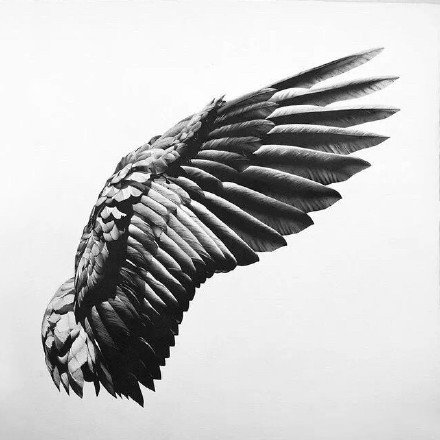 35款单双翅膀的纹身手稿图片(2/35)