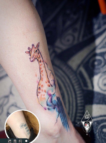 旧图疤痕遮盖几款纹身作品 重新定义纹身的美