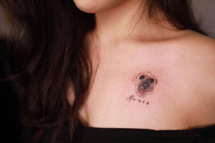 一组可爱的小猫小狗纹身图案