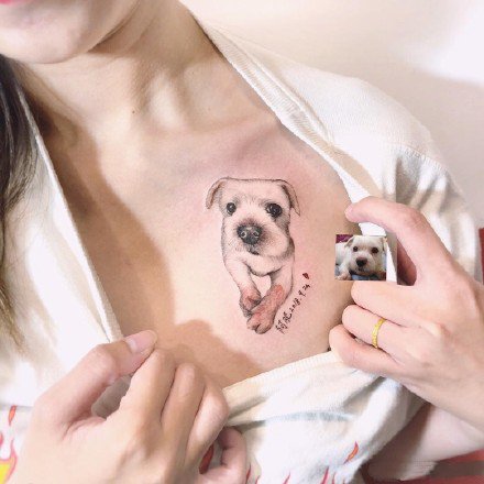 一组可爱的小猫小狗纹身图案