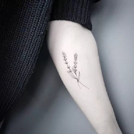 一组清新植物女生纹身图案欣赏