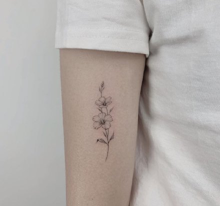 小清新手臂纹身；文字花卉风景