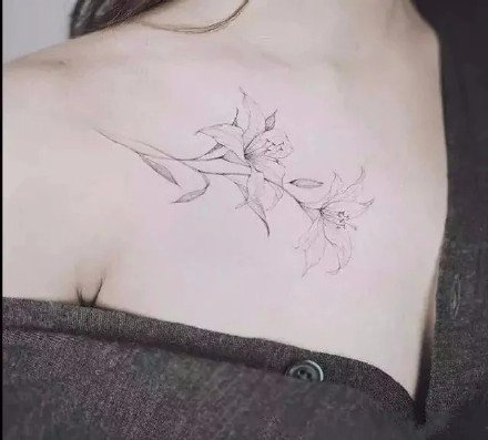 一组彩色好看的小仙女肩花纹身