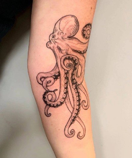 一组黑灰八爪鱼纹身图案