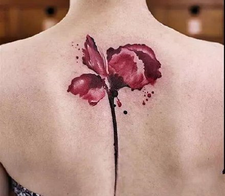 一组花卉的水墨女生纹身图案