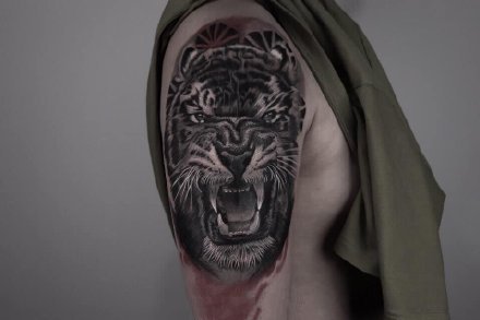 一组写实风格的老虎纹身图案