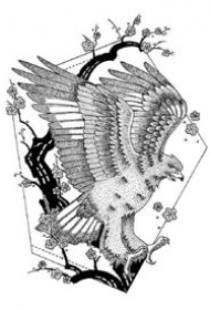 33款创意的插画黑图纹身手稿图片