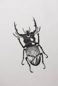 一组小昆虫的纹身手稿图片赏析