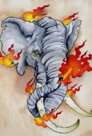 33款大象象头主题的纹身手稿图片