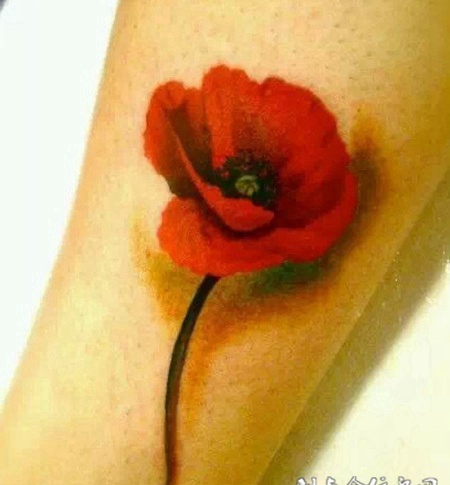 胳膊3D彩绘罂粟花纹身图案大全