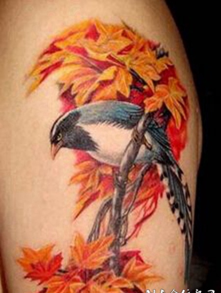 唯美写生肩部纹身