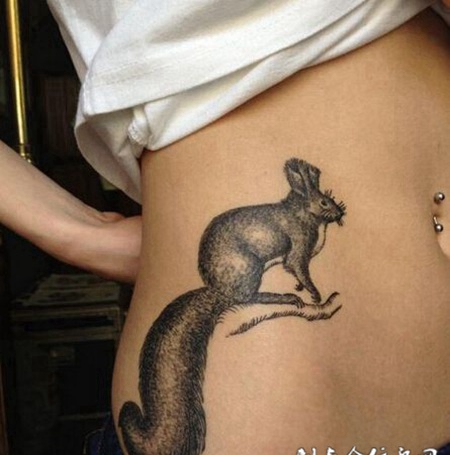 腰部黑白动物素描纹身图案