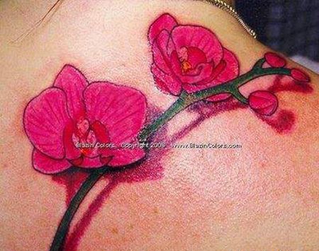 肩部红色蝴蝶兰纹身图片