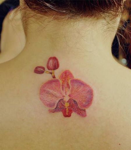 颈部蝴蝶兰纹身图片