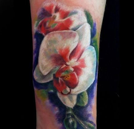 手臂蝴蝶兰纹身图片