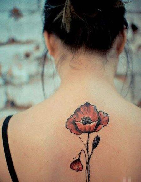 背部红色洋桔梗纹身图片