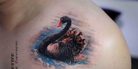 肩部黑天鹅纹身图片