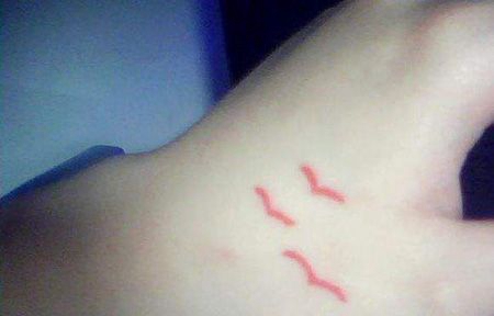 虎口红色海鸥纹身图片