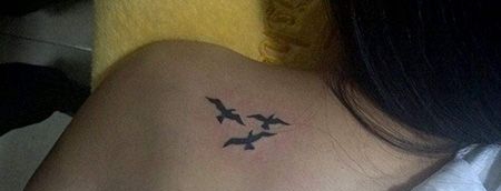 女生背部海鸥纹身图片